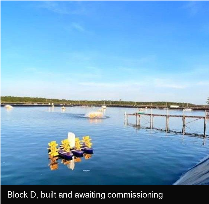 For Sale: Operating 11 Ha Shrimp Farm with c. 60 Ha Expansion Land, Sumbawa